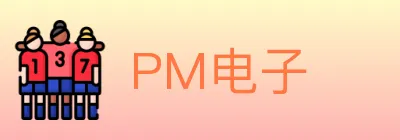PM电子 logo